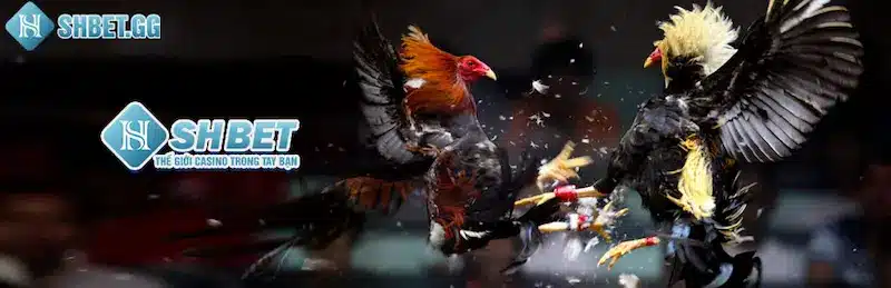 Về Chúng Tôi 2 Đa dạng sản phẩm