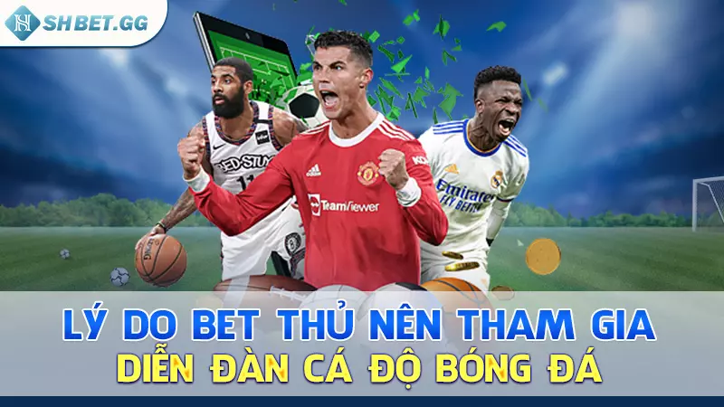 Diễn đàn cá độ bóng đá và lý do bạn nên tham gia 4 Lý do bet thủ nên tham gia diễn đàn cá độ bóng đá